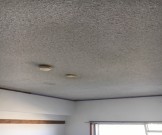 15057789038051