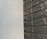 20191220_073233055_iOS