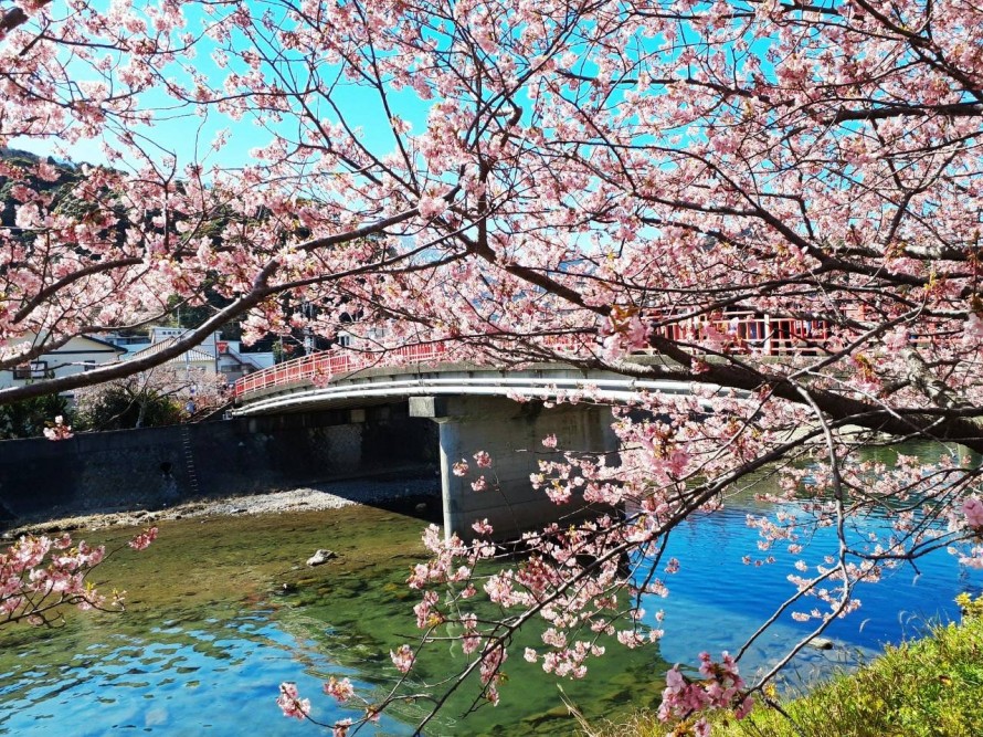 20220228_062314114_iOS1