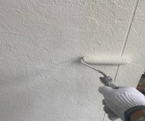 20240528_051956037_iOS