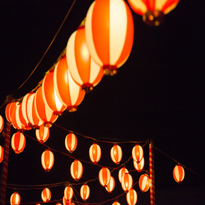 2d8f96b30472a5bde6f6e2ba417de6ba