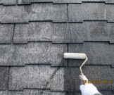 3184e24e5562c5aee4318fe09ae0edd734