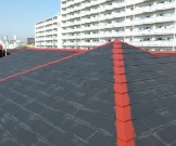 49e440b6e96862ca82003255cf3157401