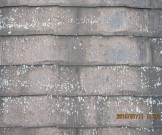 51571032cd4ad8ddc25ec2fcb585be0914