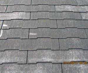 7e95da0fda26494c1542eb2ba92b21a71