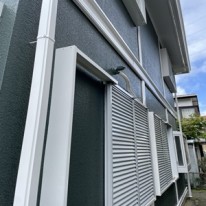 IMG_9059