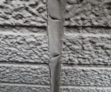 P3110024