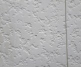 RIMG1319