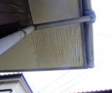 RIMG2215