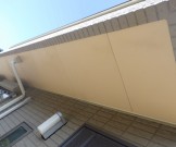 RIMG4439