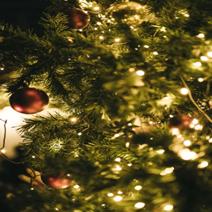 Screenshot_20251224-174334