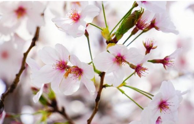 Screenshot_20260328-1515572