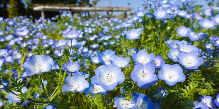 Screenshot_20260422-1406452