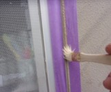 a5ad39f10251faf5f4fd61bd193a5a1914