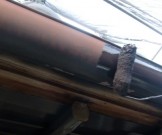 adc4bfc877db76db07c28c36aafe04992