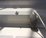 bbd4e2582642aab2c6d57b3fc729e06a15