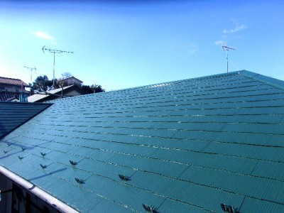 ca425d7568033b9c2a8c516484c693a710