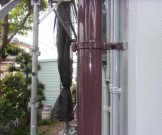 cf69afc00354b7fb82465a64ce0ec9eb16