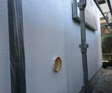 dc88125bf0acf73aba8bfbb51cf01545