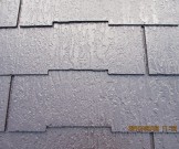 f5e34c878c6015cf143ef8ba711cf4ec8