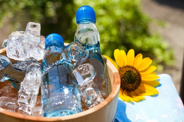 fbf19f13e55dc6afcfc9f12876e8e4a3